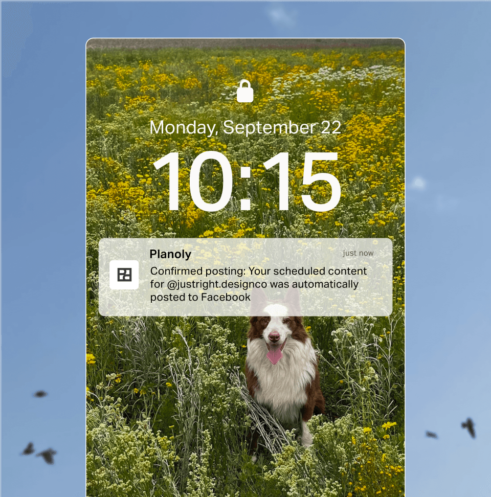 Facebook content being planned in the Planoly mobile app.