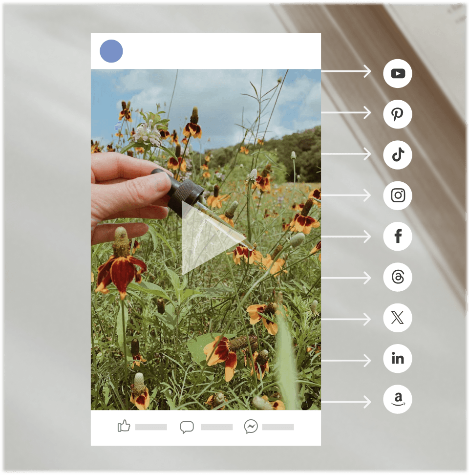 A social content calendar showing scheduled Facebook and YouTube posts.