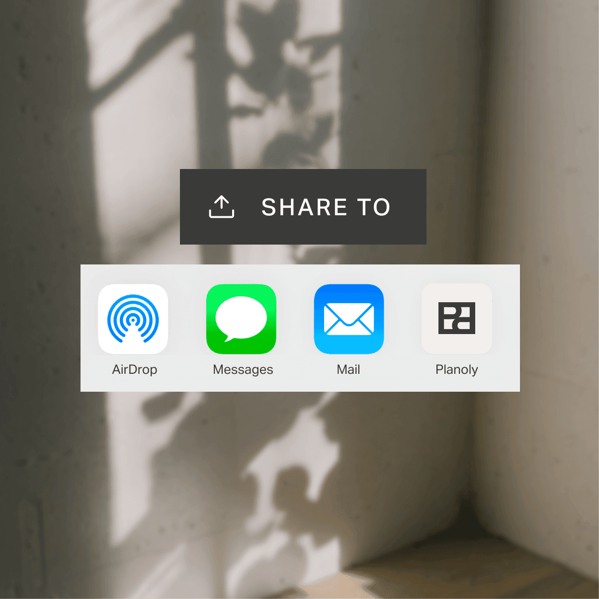 A mobile share sheet with Planoly as a destination.